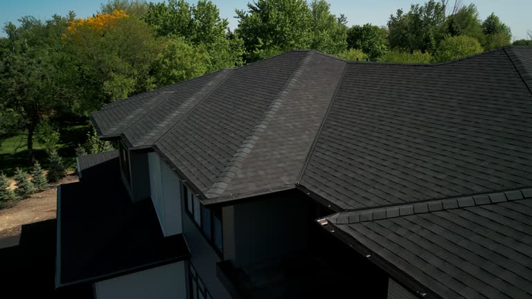 Best Storm Damage Roof Repair  in Oak Grove, AL