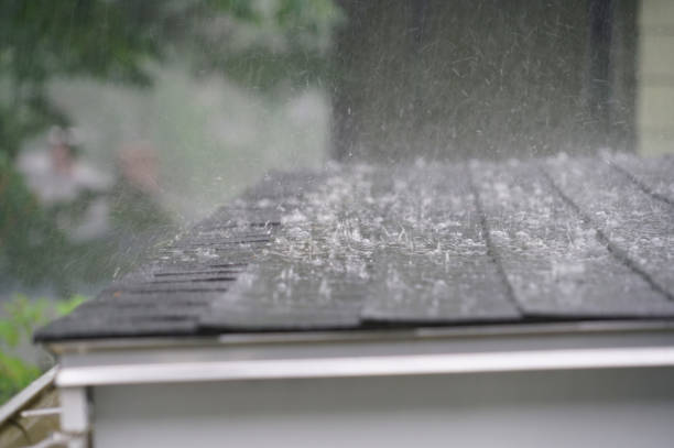 Best Roof Coating and Sealing  in Oak Grove, AL