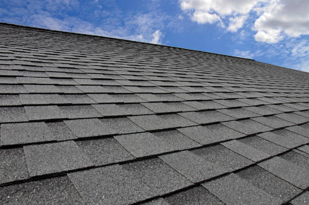 Best Roof Maintenance and Cleaning  in Oak Grove, AL